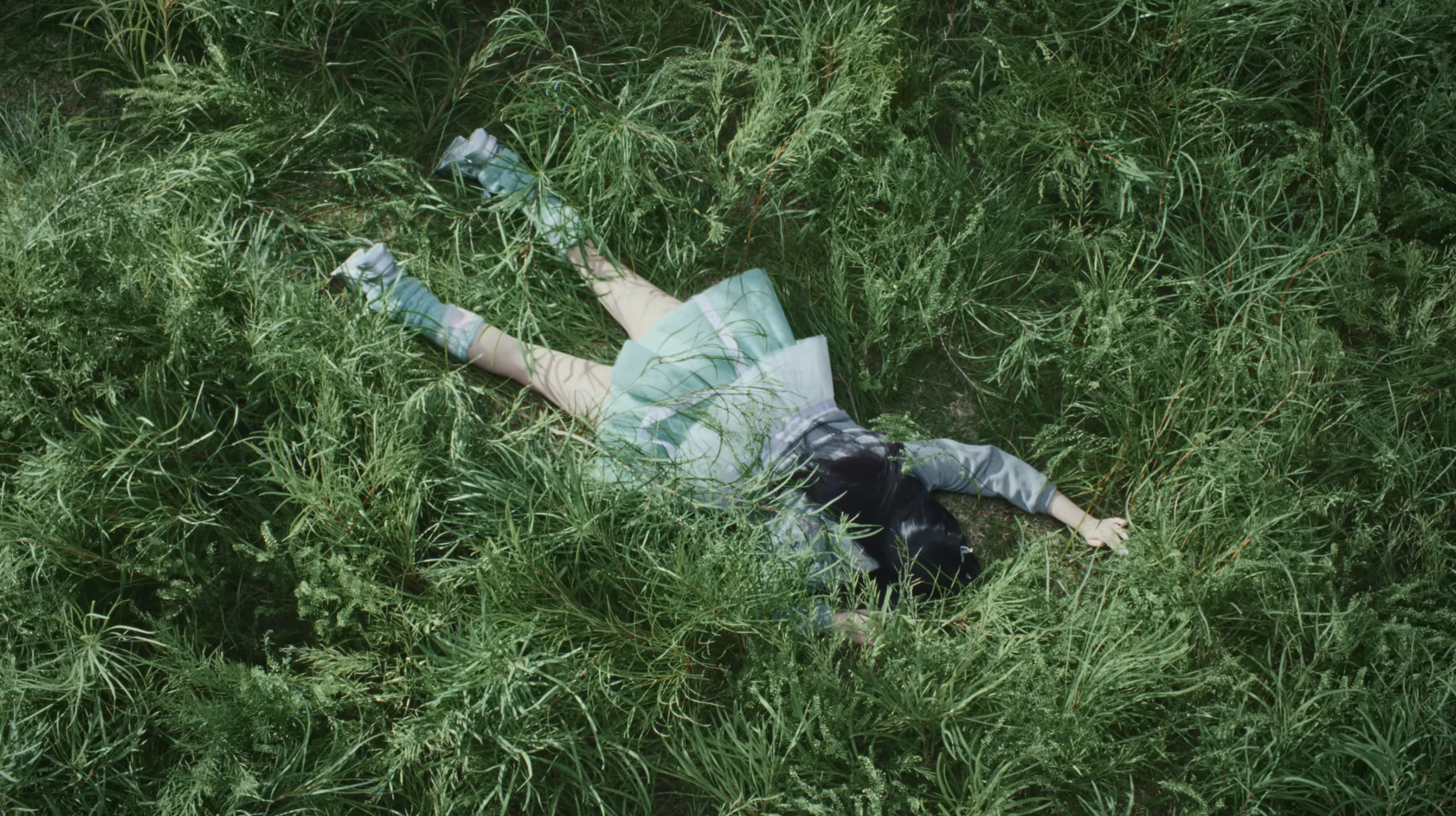 wonhee faceplant